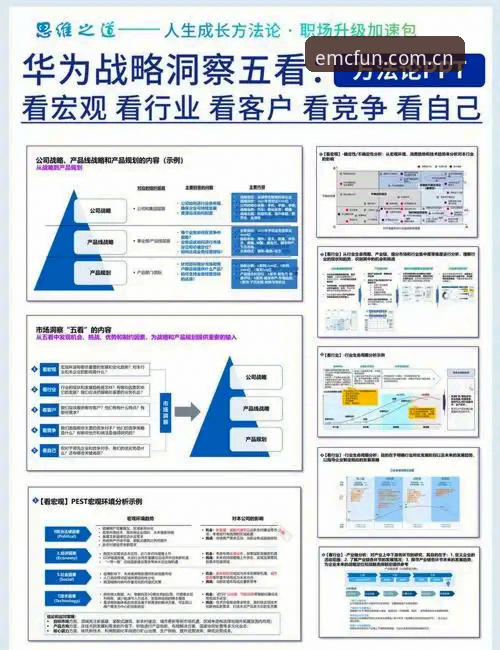 快速掌握易倍平台评价功能的5个核心要点